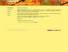 Tablet Screenshot of platerki.cwiczenia.net
